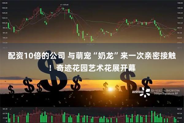 配资10倍的公司 与萌宠“奶龙”来一次亲密接触！奇迹花园艺术花展开幕